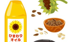 Sunflower oil Set