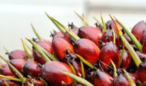 1000041094-750x422-1-620x330-1-750x400