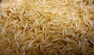 dasy-sha-KRG4gii6CMs-unsplash_11zon