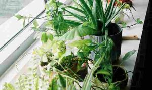 khanh-do-KtCEXPYzjc4-unsplash_11zon