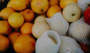 mathias-reding-TPdYjKLE2Ys-unsplash_11zon