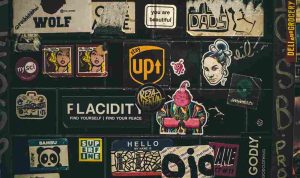 victoria-kubiaki-Tfm9GOO5Krc-unsplash_11zon