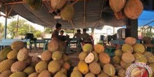 Buah Durian Mamuju Banjiri Palu