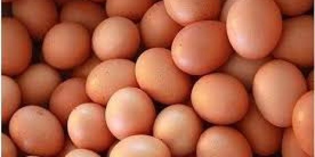 Pemkab Sediakan 52.500 Telur untuk Bazar Murah